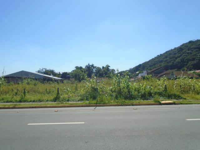 Terreno para alugar em America, Joinville cod:08039.001 - Foto 8