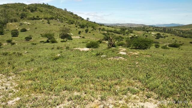 Vendo 64 h na PE 87 a 4 km do centro de Gravatá PE - Foto 17