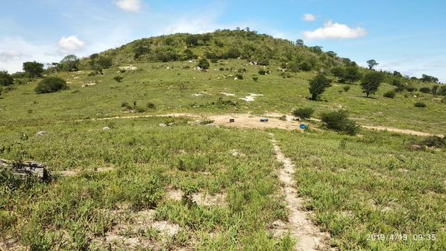 Vendo 64 h na PE 87 a 4 km do centro de Gravatá PE - Foto 15