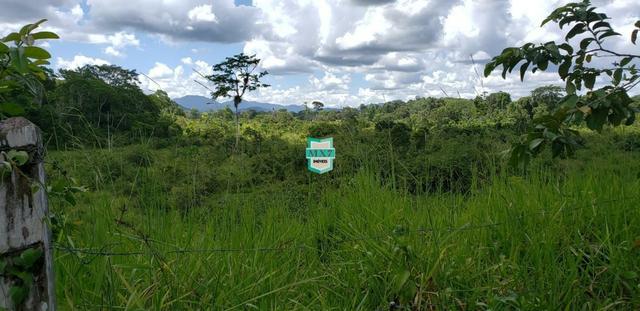 Camacan. Fazenda de Cacau com 430 Hectares. Rica em água - Foto 9