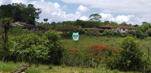 Camacan. Fazenda de Cacau com 430 Hectares. Rica em água - Foto 13