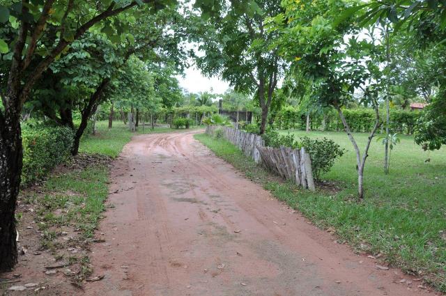 Chácara 5,8 Ha/ Estrada velha da Guia/ 10 minutos da AMBEV - Foto 11