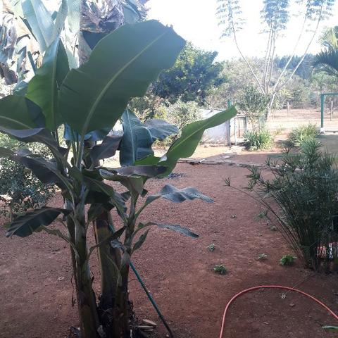 Casa de 3 Quartos em condomínio fechado no Incra 9 - Foto 16
