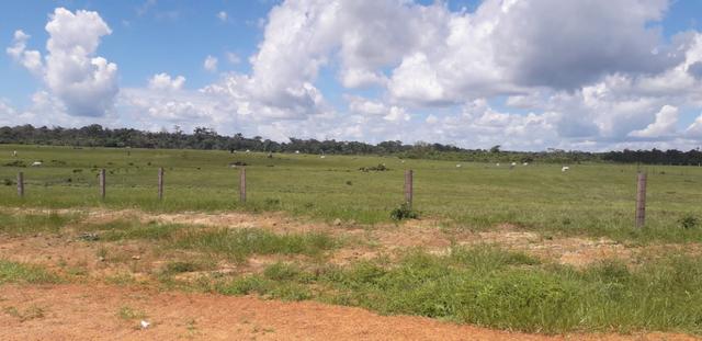Fazenda bem estruturada - Foto 8