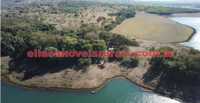 Fazenda margens represa Furnas - Corumbaíba GO - Foto 13