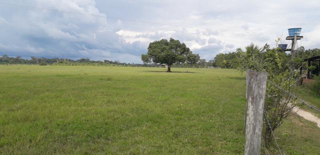 Fazenda bem estruturada - Foto 9