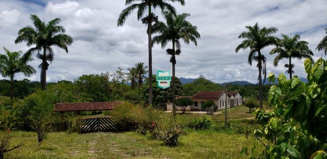 Camacan. Fazenda de Cacau com 430 Hectares. Rica em água - Foto 14