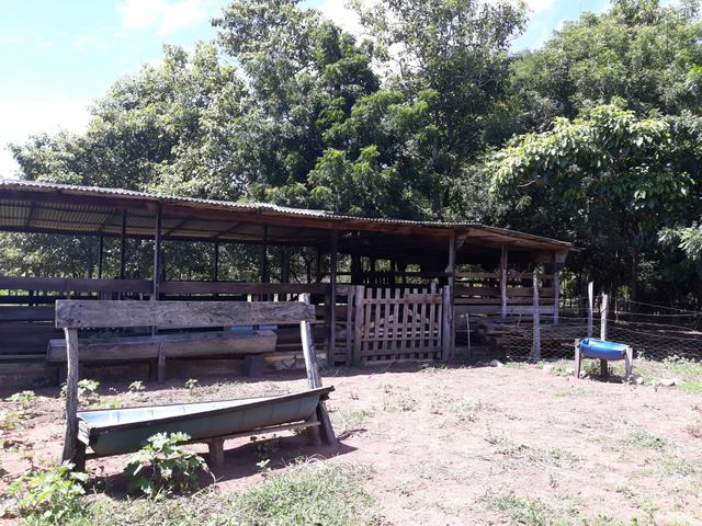 Chácara 5,8 Ha/ Estrada velha da Guia/ 10 minutos da AMBEV - Foto 8