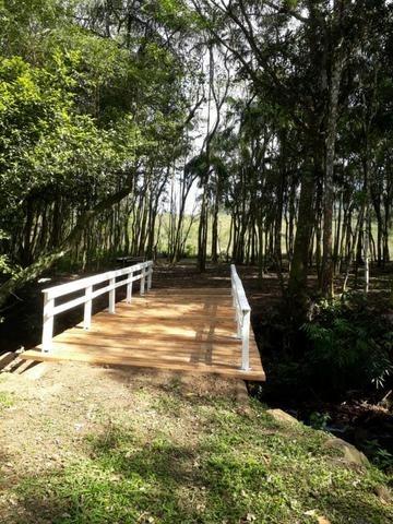 Sitio em Maquine - Foto 8
