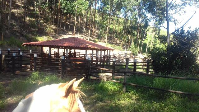 Fazenda em Minas Gerais - Foto 4