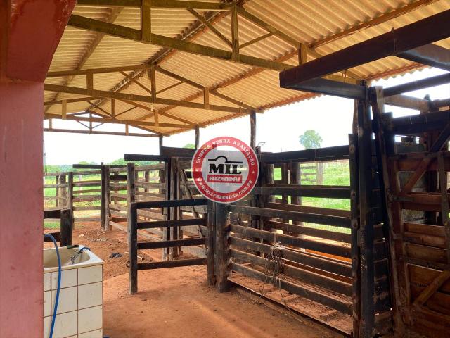 Fazenda de 15 alqueires a 37 km de Goiânia - Foto 20