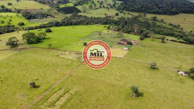 Fazenda de 15 alqueires a 37 km de Goiânia - Foto 6