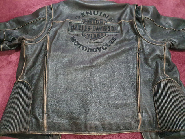 jaqueta couro legitimo harley davidson