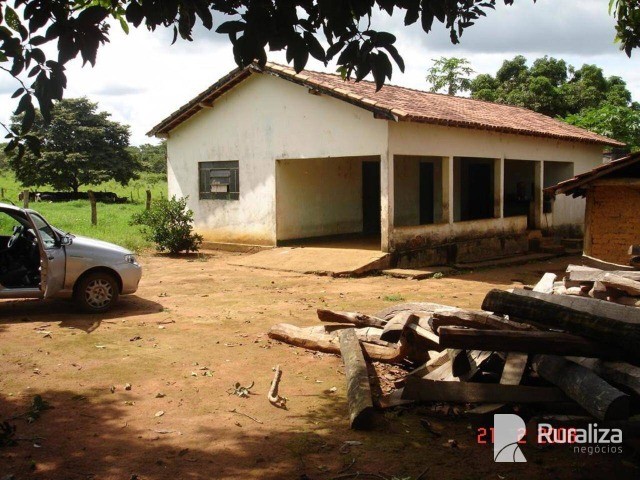 Fazenda em Goianorte para integração lavoura pecuária - Foto 17