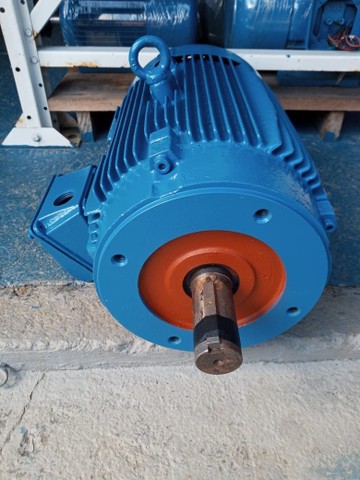 Motor elétrico trifásico 15 cv rpm 1760. - Foto 3