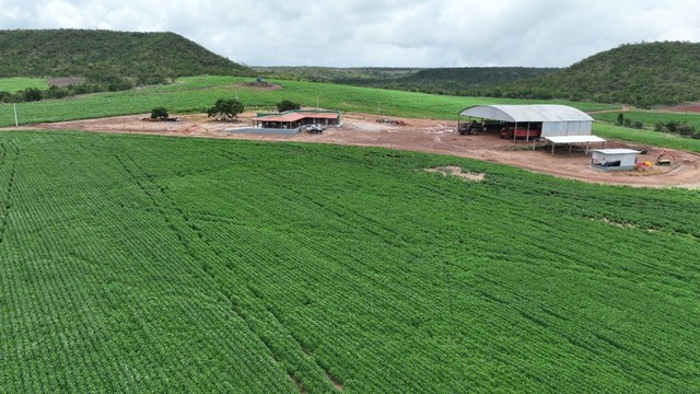 Fazenda de 2.177 hectares Mato Grosso 