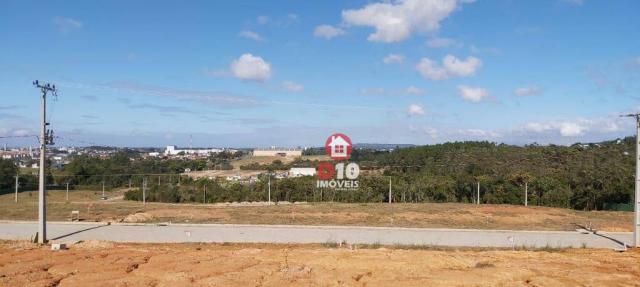 Terreno à venda, 800 m² por R$ 331.398 - Argentina - Criciúma/SC - Foto 18