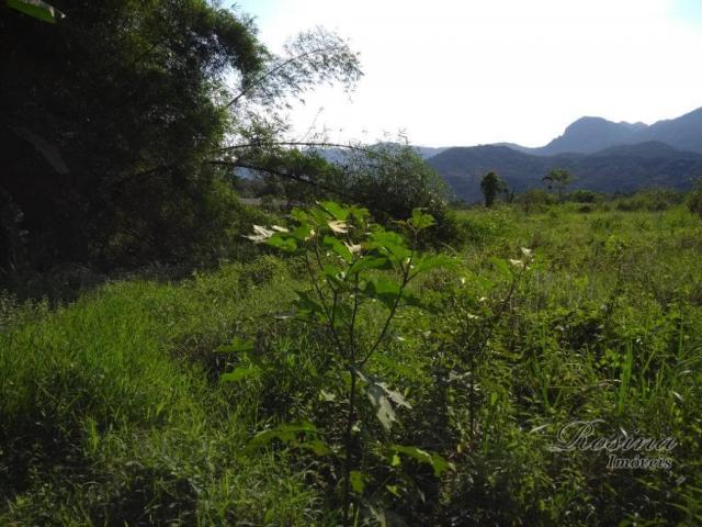 Área à venda, 22967 m² por r$ 210.000 - américa de baixo - morretes/pr - Foto 6