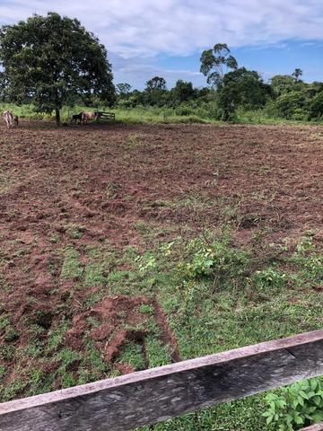 Fazenda em Rosário Oeste 1.460 hectares á venda