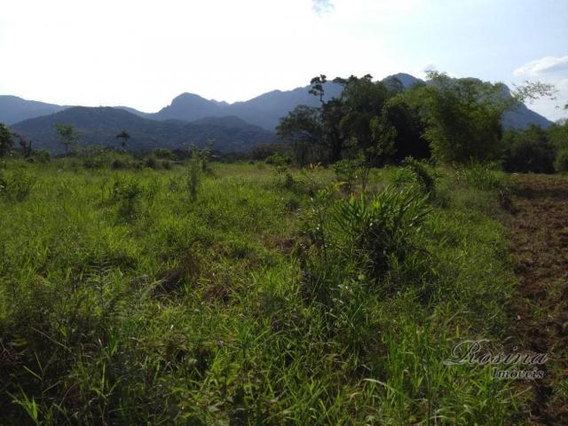 Área à venda, 22967 m² por r$ 210.000 - américa de baixo - morretes/pr - Foto 10