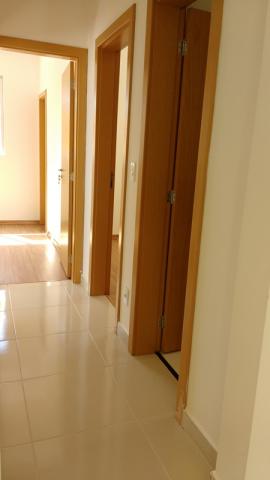 Apartamento à venda com 3 dormitórios em Salgado filho, Belo horizonte cod:11977 - Foto 12