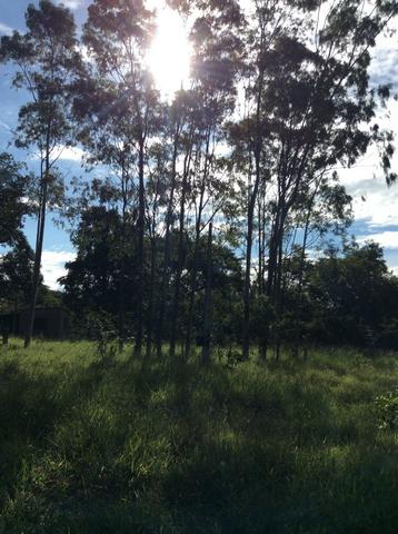 Fazenda 50 alqueirões - Serranopolis GO - Foto 3