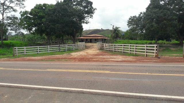 Fazenda em buriticupu - Foto 3