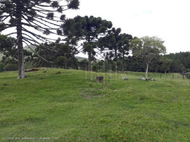 Sítio à venda, 4 m² por r$ 2.156.000 - serra grande - gramado/rs - Foto 10
