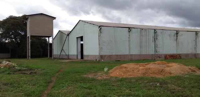 Galpão em area de 22.000,00 m² toda murada com guarita Proximo Br dos Imigrantes - Foto 4