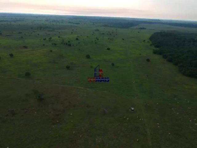 Fazenda à venda, por R$ 4.000.000 - São Francisco do Guaporé/Ro - Foto 6