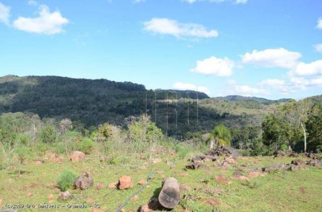 Sítio à venda, 45000 m² por r$ 897.000,00 - linha bonita - gramado/rs - Foto 5