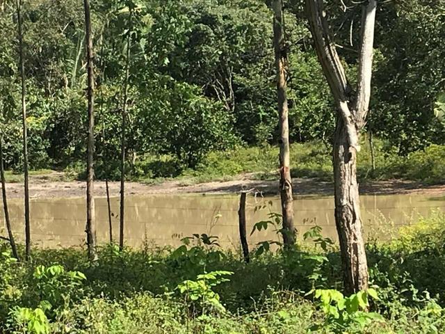 Vendo Fazendo no Sul do Piauí Totalmente Plana - Dupla Aptidão - Foto 6