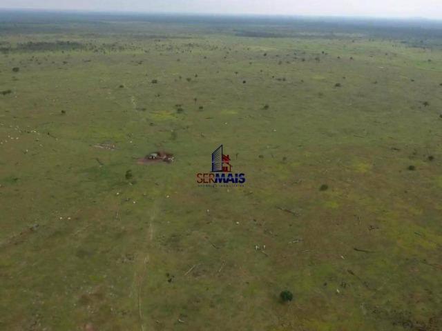 Fazenda à venda, por R$ 4.000.000 - São Francisco do Guaporé/Ro - Foto 14