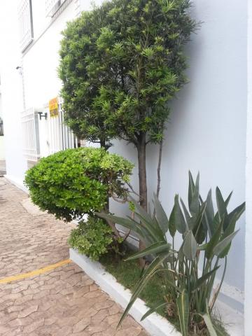 Apartamento à venda com 3 dormitórios em Caiçara, Belo horizonte cod:11652 - Foto 12