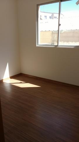 Apartamento à venda com 3 dormitórios em Salgado filho, Belo horizonte cod:11974 - Foto 6
