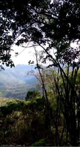 Sítio à venda, 44000 m² por r$ 950.000,00 - linha nova - gramado/rs - Foto 2