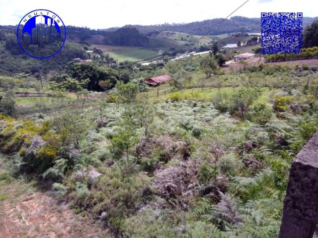 Vendo Terreno em Venda Nova - Foto 5