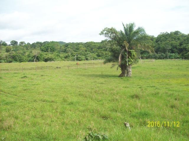 Chácara em Anicuns, 2 Alqueires e 37 Litros de Pura Beleza e Encantamento, Rica em Água - Foto 13
