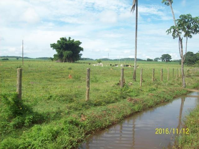 Chácara em Anicuns, 2 Alqueires e 37 Litros de Pura Beleza e Encantamento, Rica em Água - Foto 9