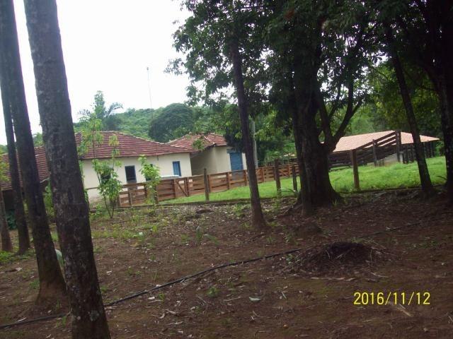 Chácara em Anicuns, 2 Alqueires e 37 Litros de Pura Beleza e Encantamento, Rica em Água - Foto 18