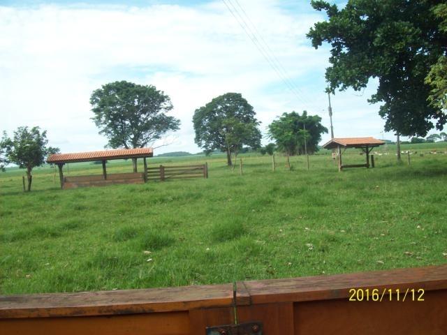 Chácara em Anicuns, 2 Alqueires e 37 Litros de Pura Beleza e Encantamento, Rica em Água - Foto 11