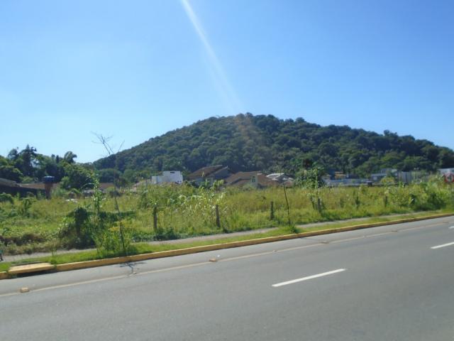 Terreno para alugar em America, Joinville cod:08039.001 - Foto 5