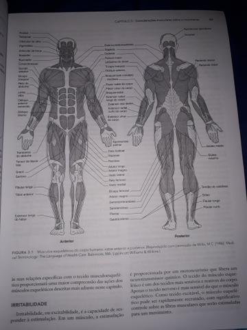 Bases Biomecânicas do Movimento Humano - Foto 3