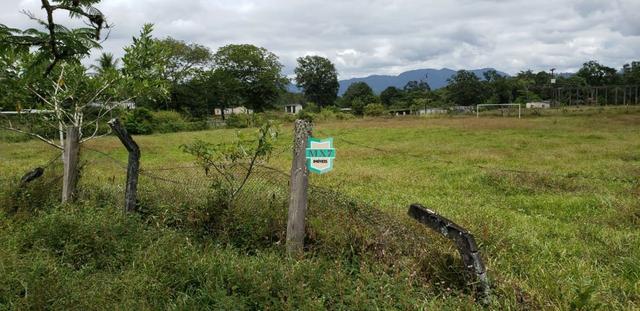 Camacan. Fazenda de Cacau com 430 Hectares. Rica em água - Foto 12
