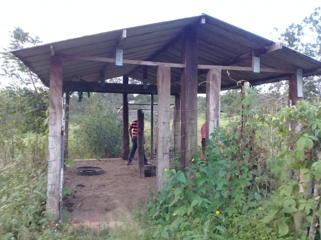 Excelente sítio, com casa sede e casa de caseiro na região de Santo Estevão Bahia - Foto 4