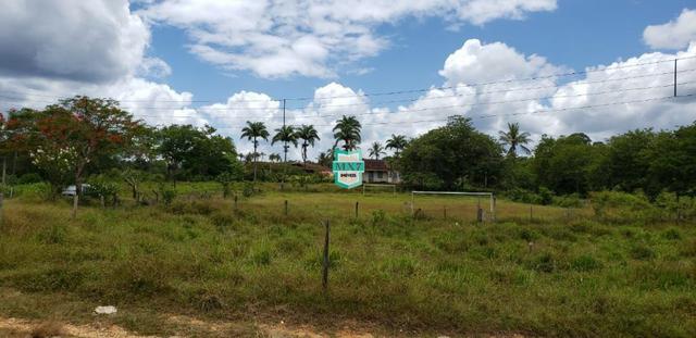 Camacan. Fazenda de Cacau com 430 Hectares. Rica em água - Foto 10