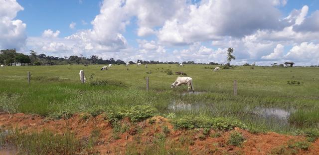 Fazenda bem estruturada - Foto 3