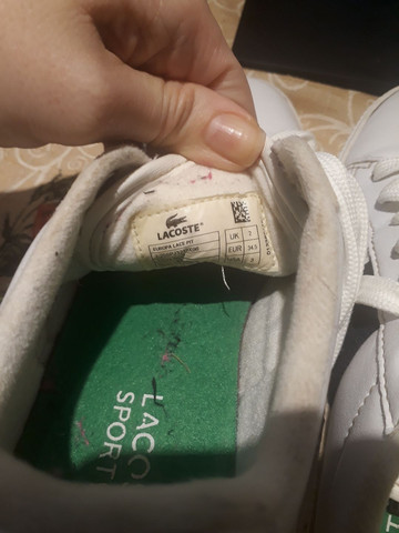 tenis lacoste unisex