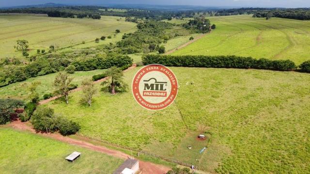 Fazenda de 15 alqueires a 37 km de Goiânia - Foto 2