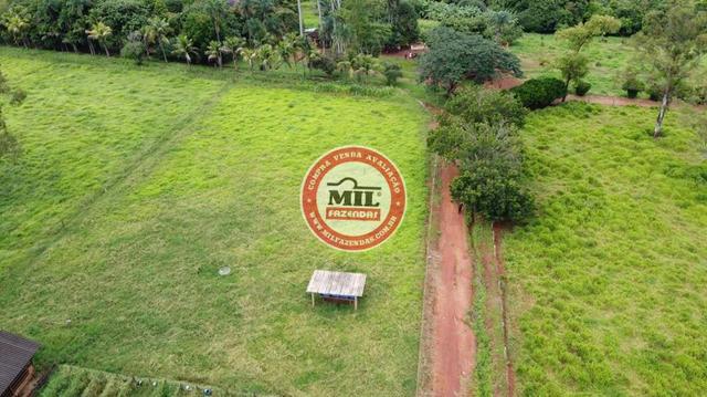 Fazenda de 15 alqueires a 37 km de Goiânia - Foto 17